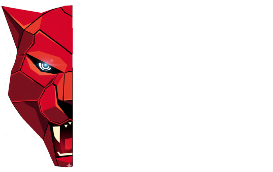 Rondo Security